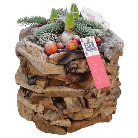 <h4>PTHCH6740 Arrangementen Hyacinthus</h4>