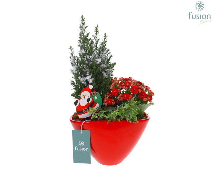 <h4>Keramiek ovaal Medium met Kerst Arrangement</h4>
