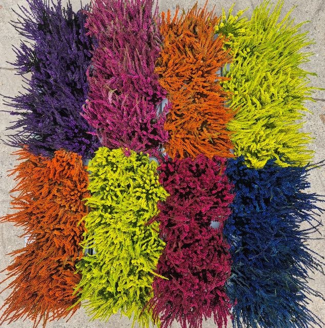<h4>CALLU PAINTED MIXSHELVE X12</h4>