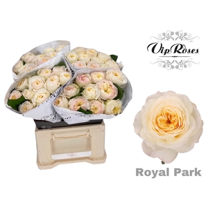 R GR ROYAL PARK