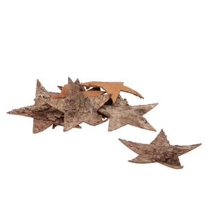 Nature Star Bark Birch 15cm P/15