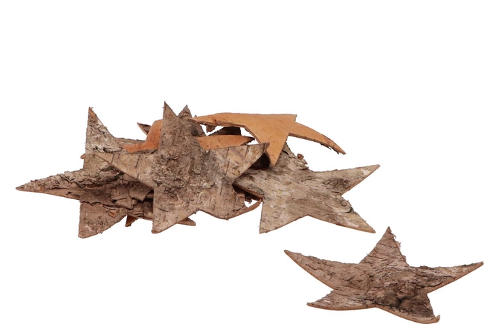 Nature Star Bark Birch 15cm P/15