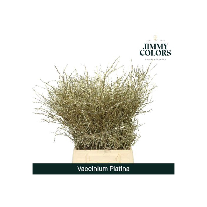 <h4>Vaccinium L50 Platina</h4>