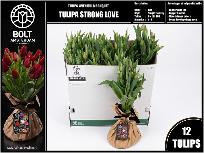 <h4>TU EN STRONG LOVE</h4>