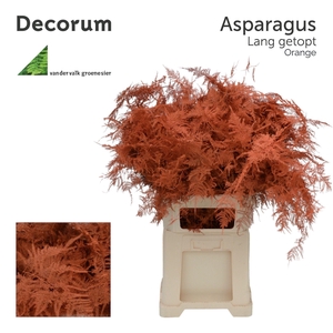 Asp lang getopt Orange