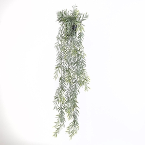 Acacia Hanging Plant in Pot Green GR110052GRN