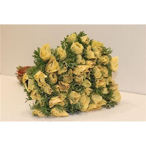 ANEMONE POWDER PEACH