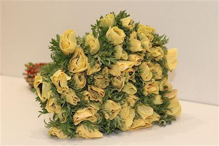 <h4>ANEMONE POWDER PEACH</h4>