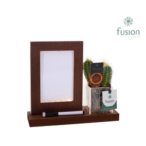 Acryl LED Glow Art Frame met Cactus