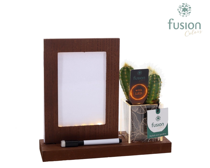 <h4>Acryl LED Glow Art Frame met Cactus</h4>