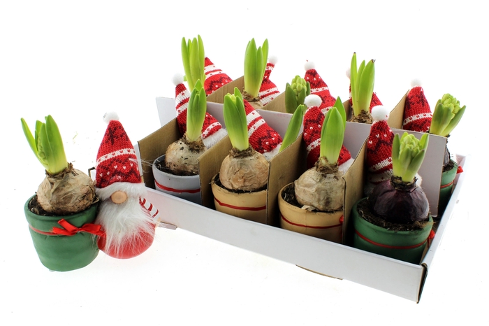 <h4>KAL GE GEM DIVERS</h4>