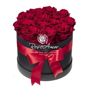 Hatbox 12 Red01 Bulk