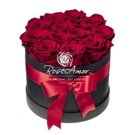 Hatbox 12 Red01 Bulk