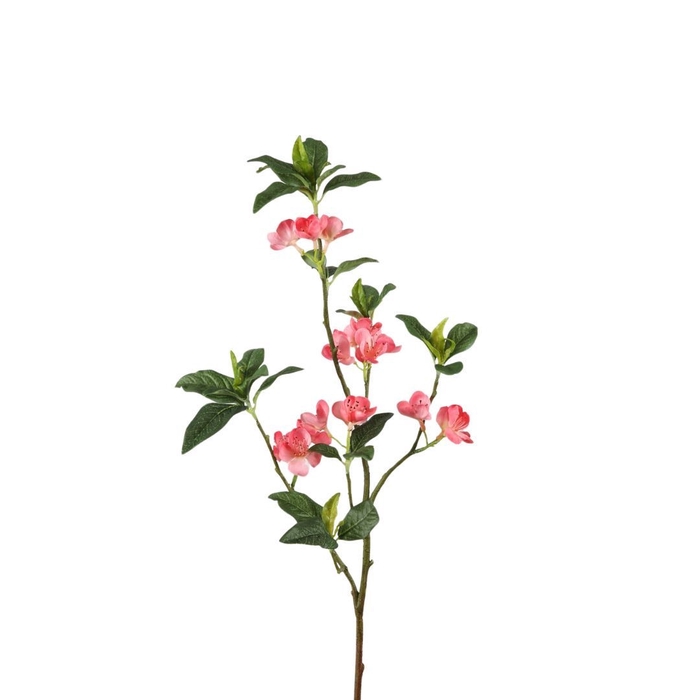 <h4>Kunstbloemen Prunus 66cm</h4>