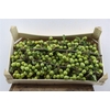 Sier Malustak Green P Wdn Box