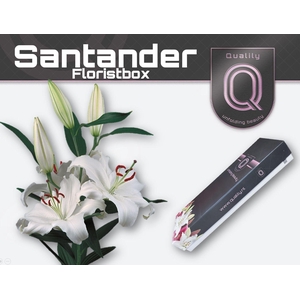 LI OR SANTANDER FLORISTBOX 5+