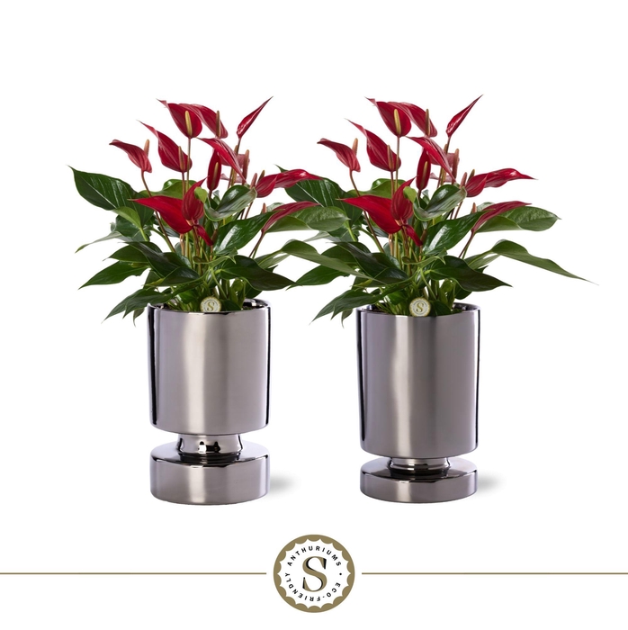 <h4>Stockholm Silver Keramiek 12cm Roja</h4>