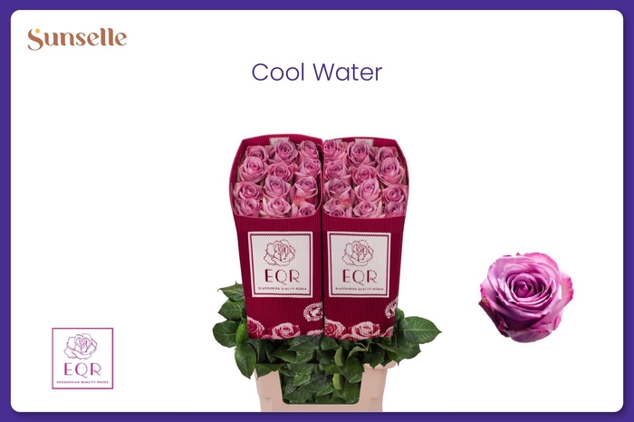 <h4>R GR COOL WATER!</h4>