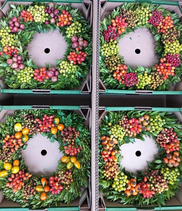 <h4>Wr Sierfruit 40cm (anttar)</h4>