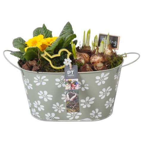 <h4>PTBM3762 Arrangementen Tuinplanten</h4>