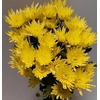 Chr Gold Yellow