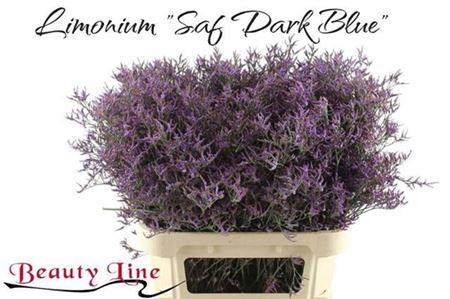 <h4>Lim Saf Dark Blue</h4>