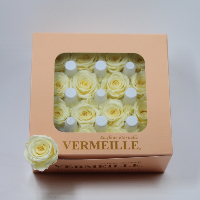 <h4>Rose Ava Pastel Yellow</h4>