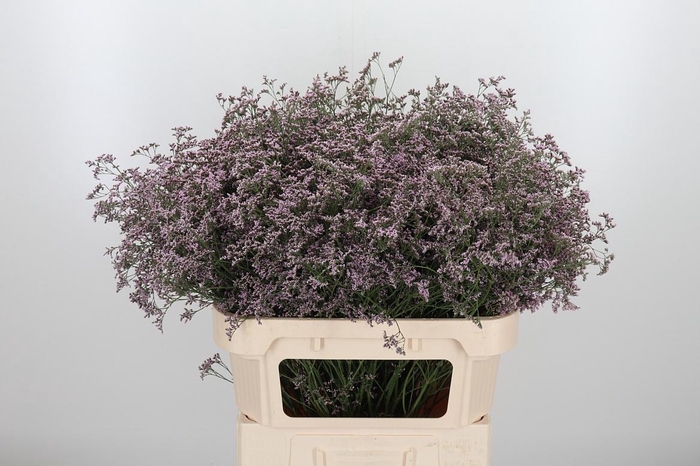 <h4>Lim Saf Oshi Pink 80 40</h4>