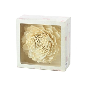 Sola Waterlilly 25 Cm Table/wall Natural