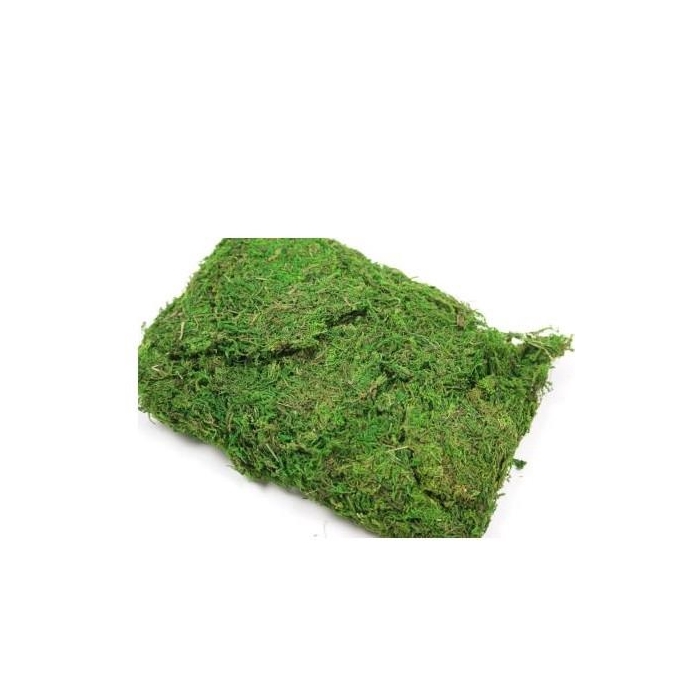 <h4>Droogdeco Mos 250g</h4>