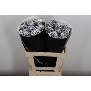 Wax-Rozen Wax Exclusief Zilver