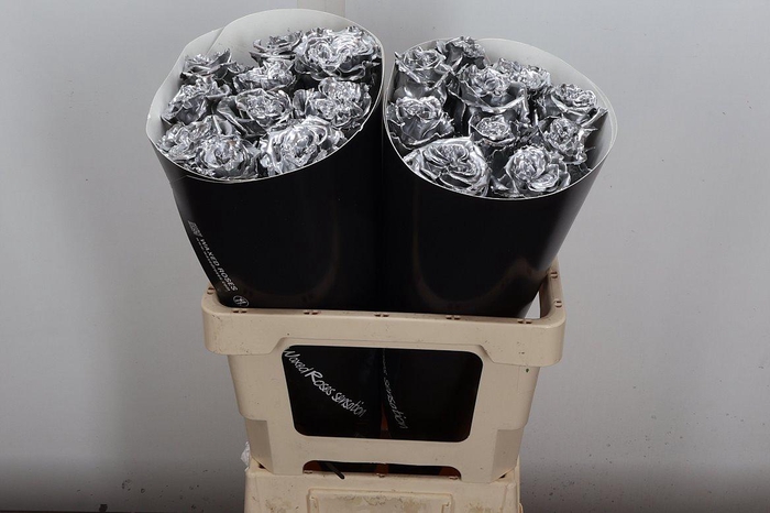 <h4>Wax-Rozen Wax Exclusief Zilver</h4>