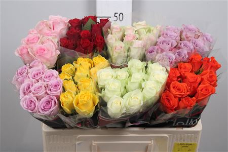 R Gr Gemengd In Fust