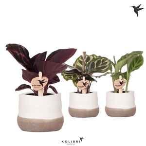 Calathea Gemengd Keramiek Imperfect Bag