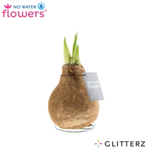 No Water Flowers Waxz Glitterz® Champagne