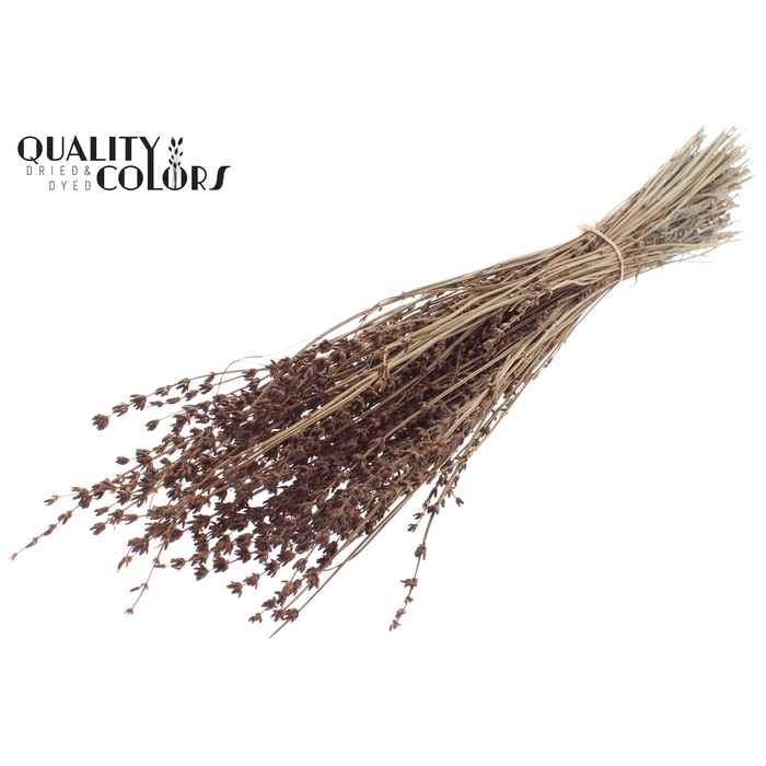 <h4>Lavendel per bunch Brown</h4>