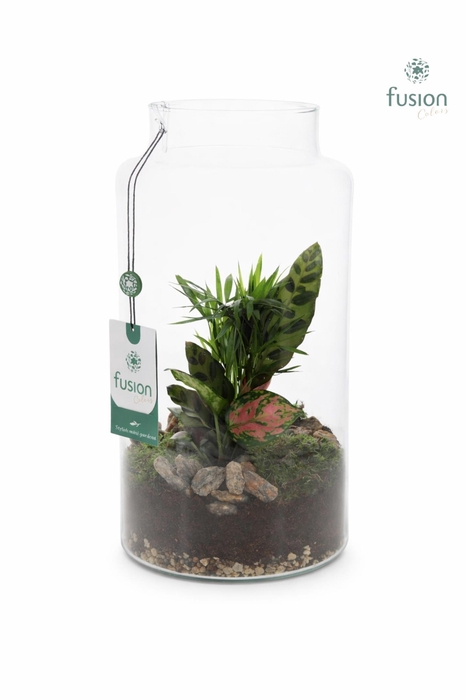 <h4>Glazen vaas met arrangement</h4>