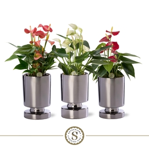 Stockholm Silver Keramiek 9cm Mix