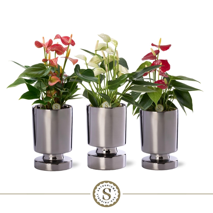 <h4>Stockholm Silver Keramiek 9cm Mix</h4>