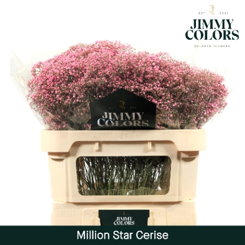 <h4>Gyps Million Star L70 Cerise</h4>