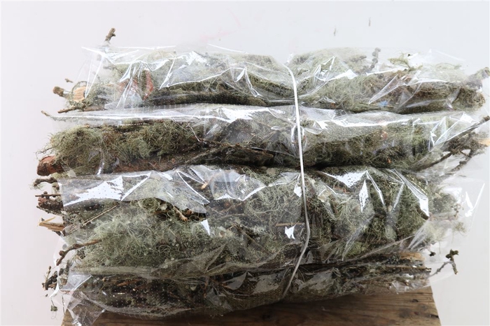 <h4>Mostakken Short 50cm P Bunch</h4>
