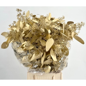 Euca Populus Grain Painted $Luxury Gold H%*