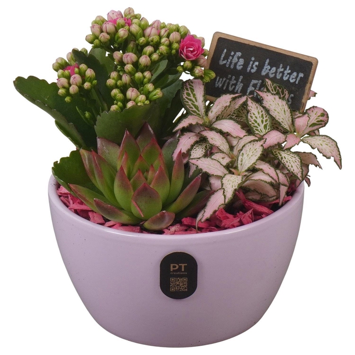 <h4>Arr.    Planten  L%</h4>