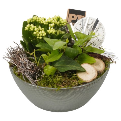 PTHN7251 ARRANGEMENT NEW YEAR IN GL