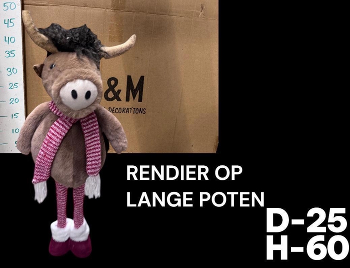 <h4>HUIS EN TUINDECO H%</h4>