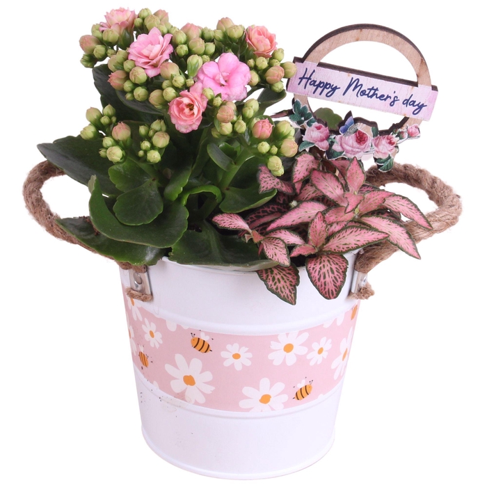 <h4>Mothersday Arr. Indoor Zinc White + Flowers & Bees Ø12cm 2PP</h4>