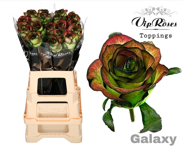 R GR GALAXY