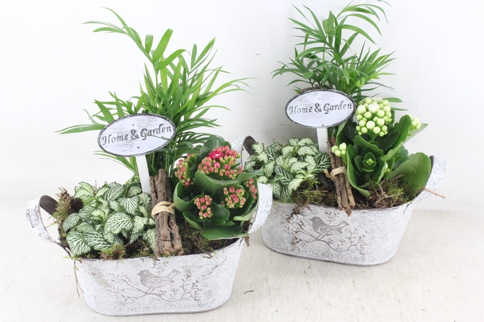 <h4>arr2 TD - Zink ovaal - roze/wit</h4>