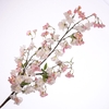 CHERRY BLOSSOM SPRAY CREAM PINK FL4 L160