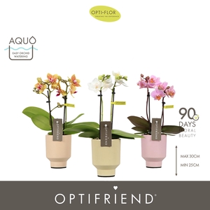 Optifriend Mix 2 spike in Emilia Ton Sur Ton Aquo